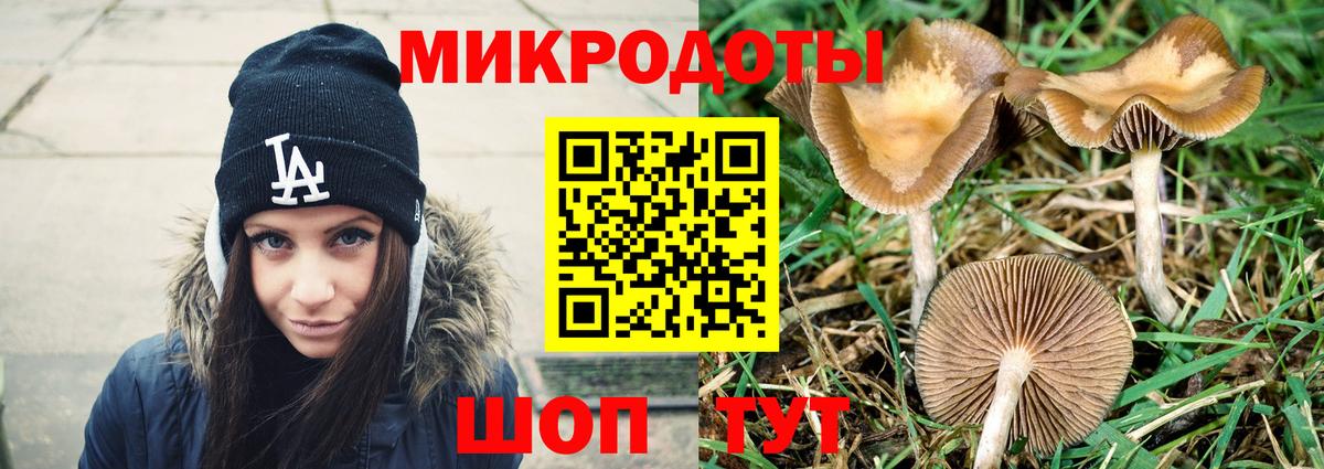 где можно купить наркотик  Галлюциногенные грибы мухоморы  Вход с VPN  Унеча 